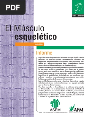 El músculo esquelético (Artículo)