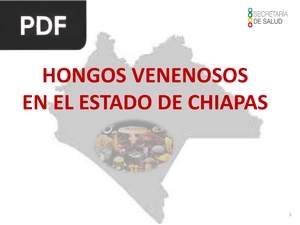 Hongos venenosos en el Estado de Chiapas (Presentación)