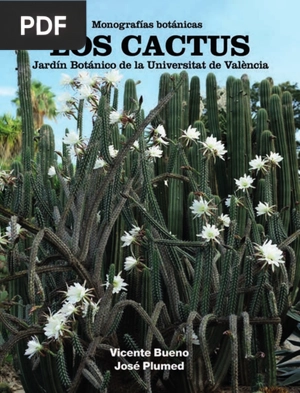 Los cactus