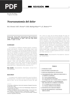 Neuroanatomía del dolor (Artículo)