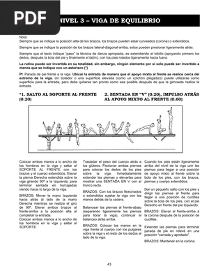 Nivel 3 - viga de equilibrio (Artículo)