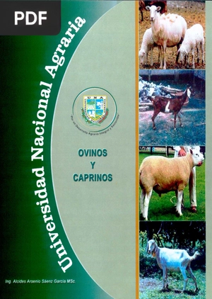 Ovinos y caprinos