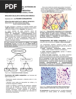 Tejido Conjuntivo