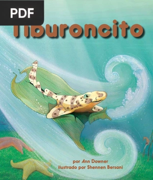 Tiburoncito