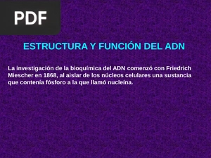 Estructura Y Función Del Adn (Presentacion)