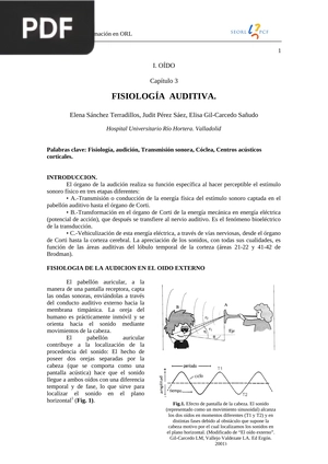 Fisiología auditiva