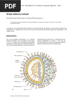 Gripe clásica y actual (Articulo)