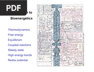 Introduction to Bioenergetics (Inglés) (Presentación)