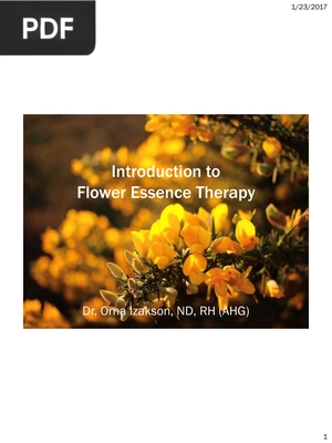 Introduction to Flower Essence Therapy (Inglés) (Presentación)