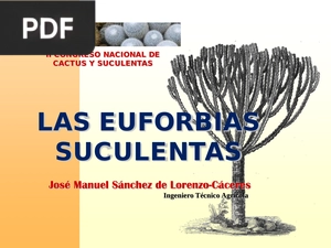 Las euforbias suculentas (Presentación)