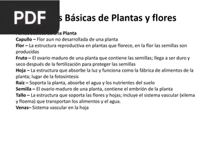 Partes Básicas de Plantas y flores (Artículo)