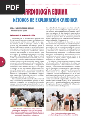 Cardiología Equina. Métodos de exploración cardiaca