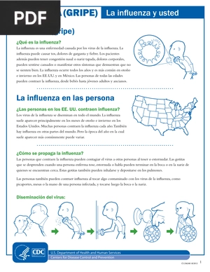 La influenza y usted (Articulo)