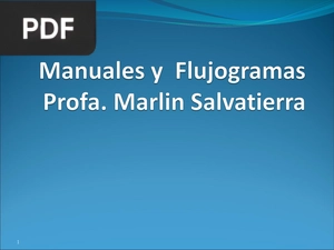 Manuales y flujogramas (Presentación)