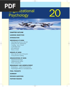 Organizational Psychology (Inglés)