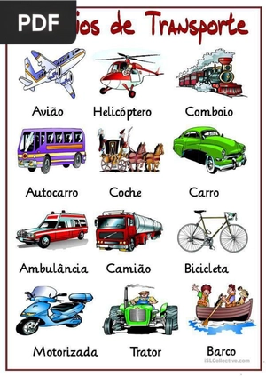 Os meios de transporte