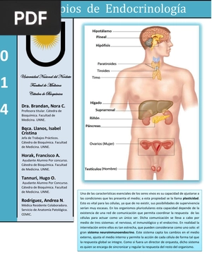 Principios de Endocrinología