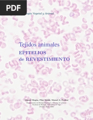 Tejidos animales. Epitelios de revestimiento