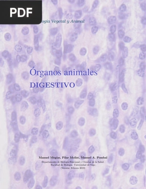 Órganos animales: Digestivo