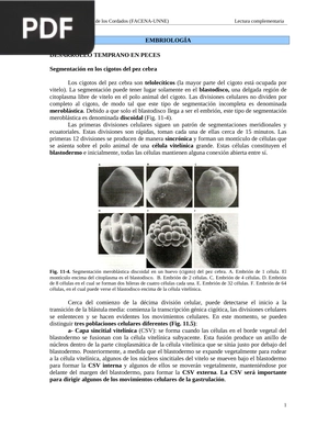 Anatomía Comparada de los Cordados. Embriología