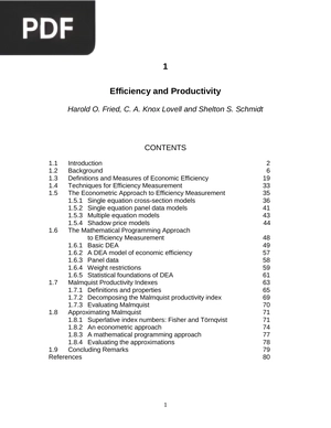 Efficiency and Productivity (Inglés)