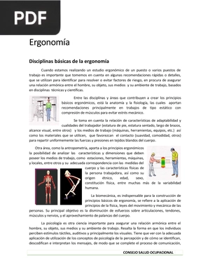 Ergonomía (Artículo)