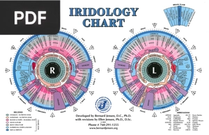 Iridology Chart (Inglés) (Artículo)