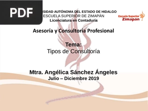 Tipos de Consultoría (Presentación)