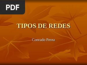 Tipos de redes (Presentación)