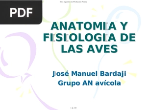 Anatomía y Fisiología de la Aves