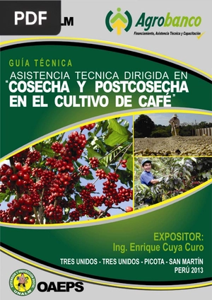 Asistencia técnica dirigida en cosecha y postcosecha en el cultivo de café