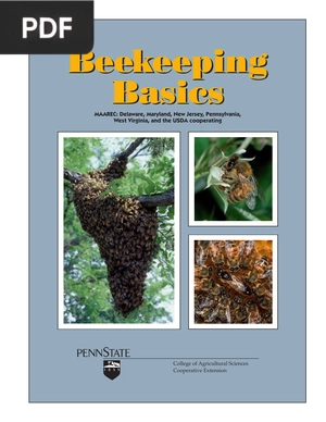 Beekeeping Basics (Inglés)