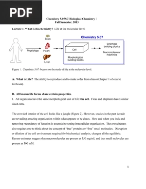 Biological Chemistry I (Inglés)