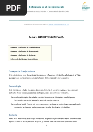 Enfermería en el Envejecimiento (Artículo)