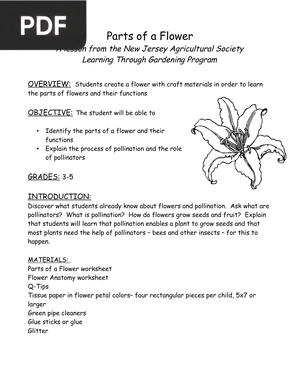 Parts of a Flower (Inglés)