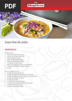 Sopa thai de pollo (Artículo)