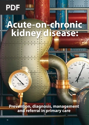 Acute-on-chronic kidney disease: Prevention, diagnosis, managementand referral in primary care (Inglés) (Artículo)