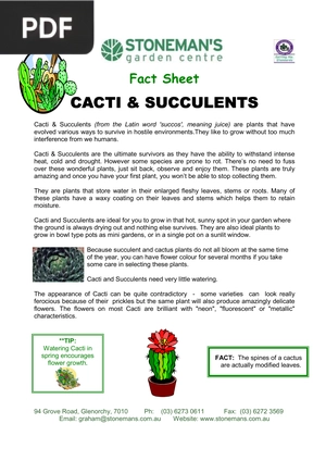 Cacti & Succulents (Inglés) (Artículo)