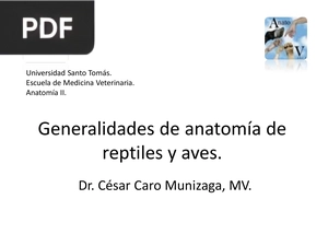 Generalidades de anatomía de reptiles y aves