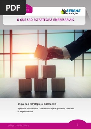 O que são estratégias Empresariais  (Portugués)