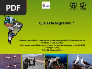 ¿Qué es la Migración? (Presentación)