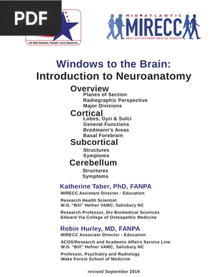 Windows to the Brain: Introduction to Neuroanatomy (Inglés)