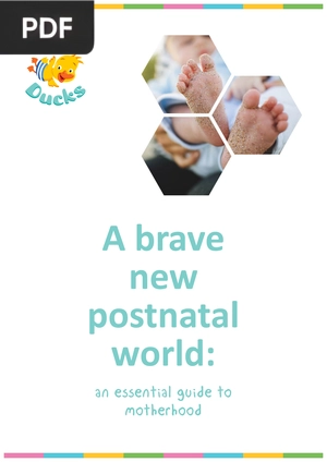 A brave new postnatal world: an essential guide to motherhood