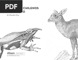 Animales Chilenos en peligro