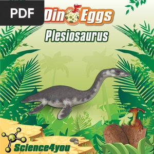 Dino eggs. Plesiosaurus