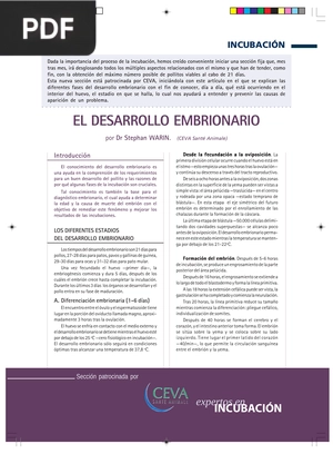 El desarrollo embrionario (Artículo)