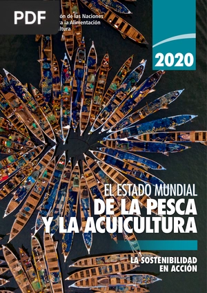 El estado mundial de la pesca y la acuicultura