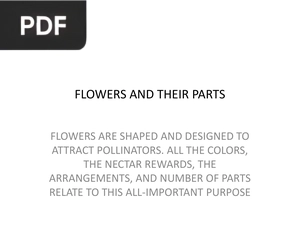 Flowers and their parts (Inglés) (Presentación)