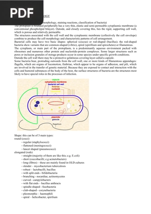 General bacteriology (Inglés)