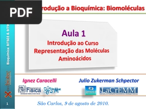 Introdução a Bioquímica: Biomoléculas (Portugués) (Presentación)